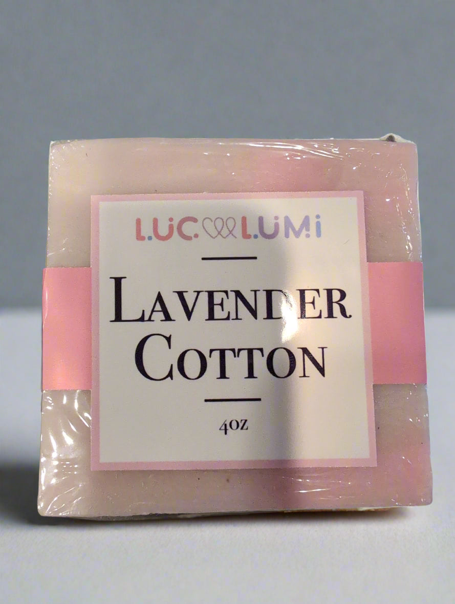 Lavender Cotton